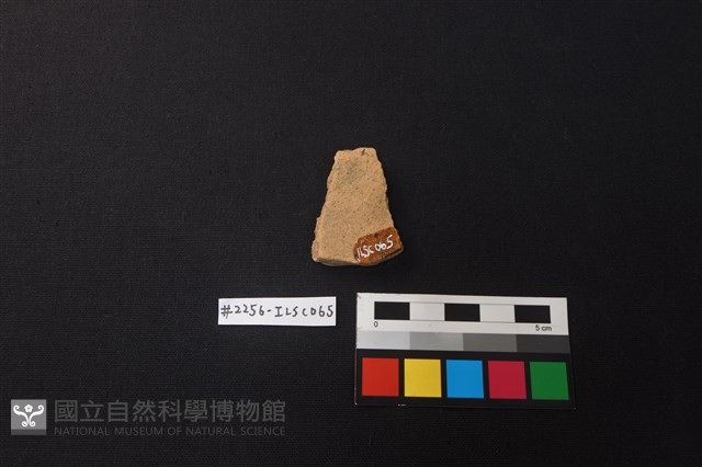陶片藏品圖，第2張