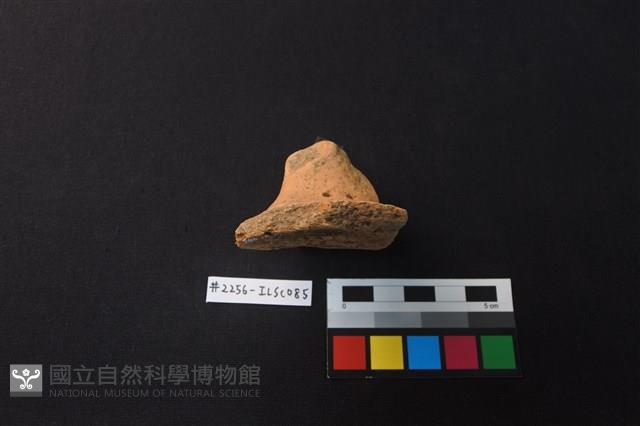 陶片藏品圖，第2張