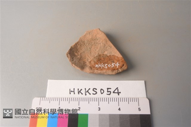 陶片藏品圖，第2張