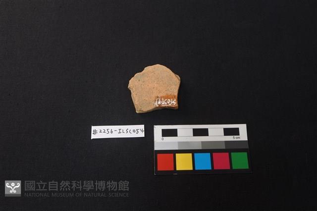 陶片藏品圖，第2張