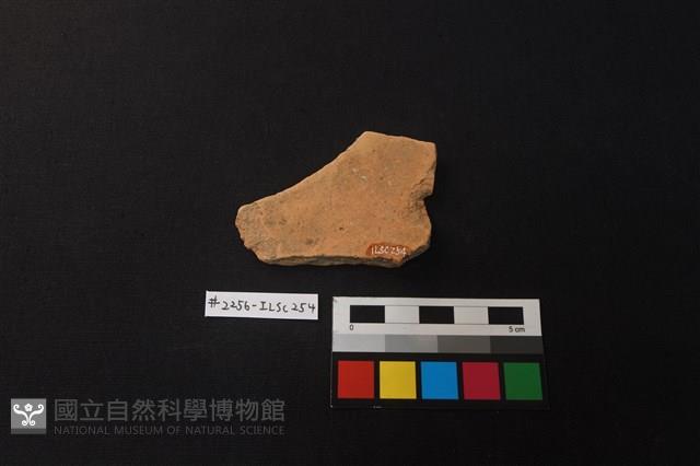 陶片藏品圖，第2張