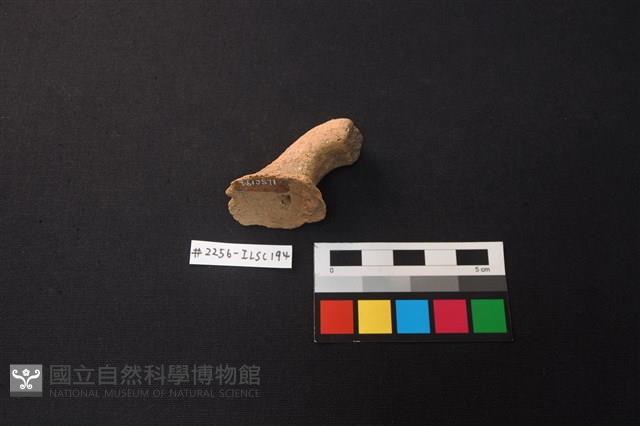 陶片藏品圖，第2張