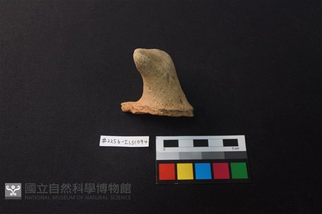 陶片藏品圖，第2張