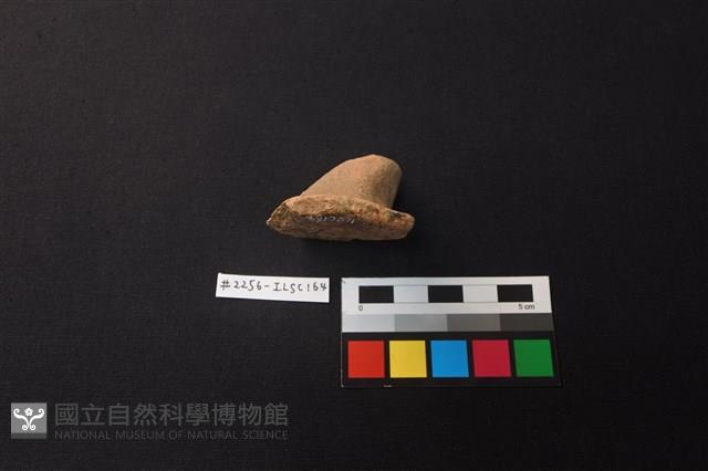 陶片藏品圖，第2張