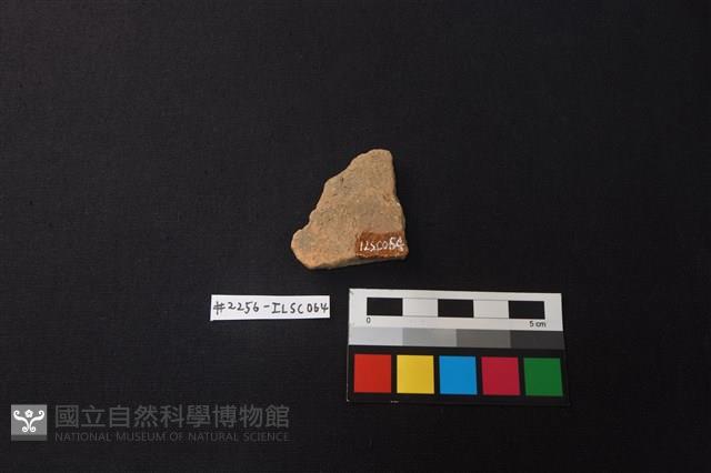 陶片藏品圖，第2張