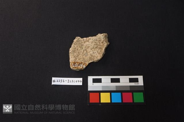 陶片藏品圖，第2張