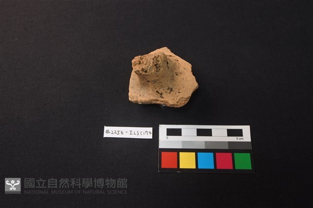 陶片藏品圖，第2張
