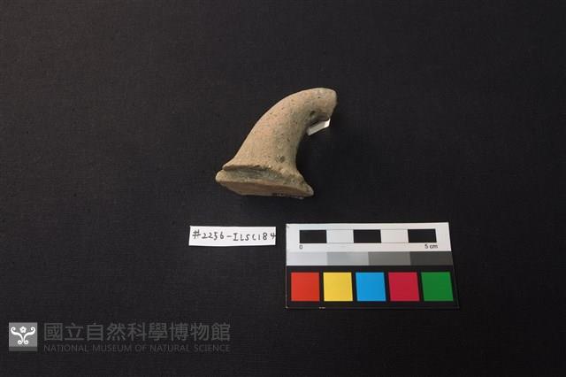 陶片藏品圖，第2張