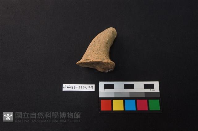 陶片藏品圖，第2張