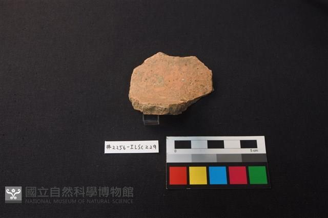 陶片藏品圖，第2張