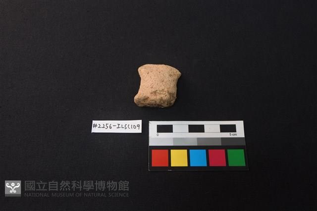 陶片藏品圖，第2張