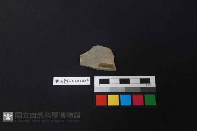 陶片藏品圖，第2張