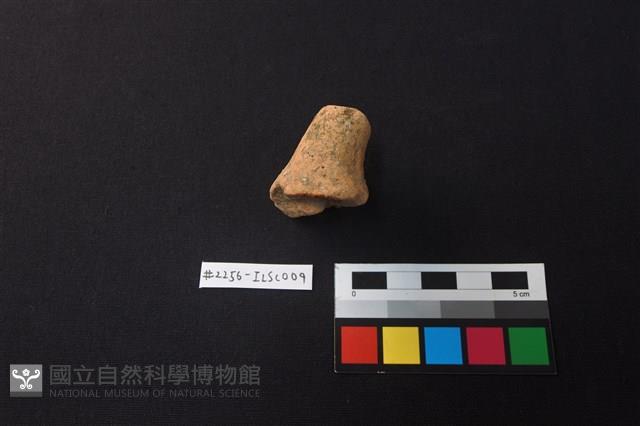 陶片藏品圖，第2張