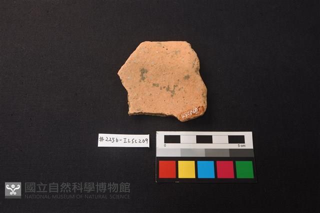 陶片藏品圖，第2張