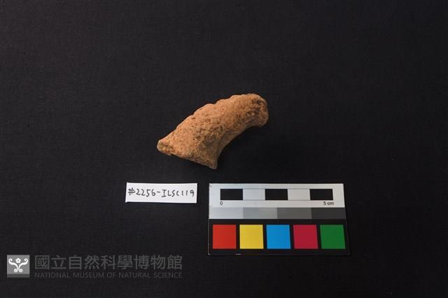 陶片藏品圖，第2張