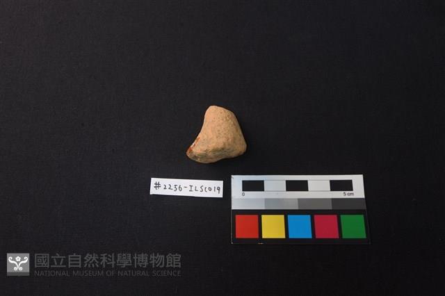 Accession Number:ILSC019 Collection Image, Figure 2, Total 2 Figures