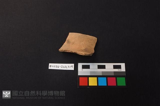 陶片藏品圖，第2張