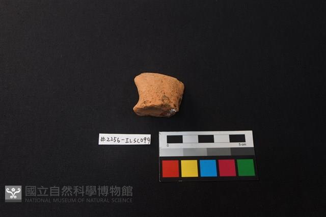 陶片藏品圖，第2張