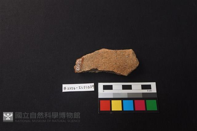 陶片藏品圖，第2張