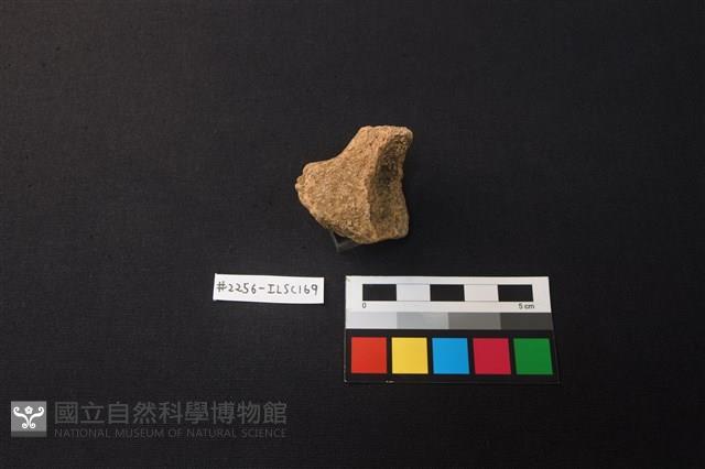 陶片藏品圖，第2張