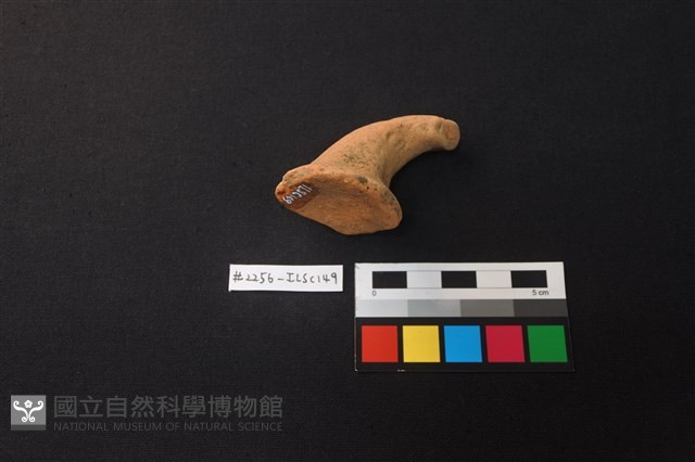 陶片藏品圖，第2張
