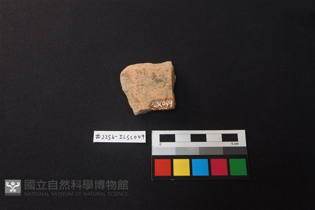 陶片藏品圖，第2張