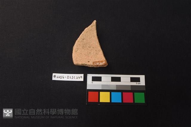 陶片藏品圖，第2張