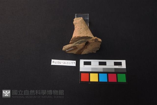 Accession Number:ILSC179 Collection Image, Figure 2, Total 2 Figures