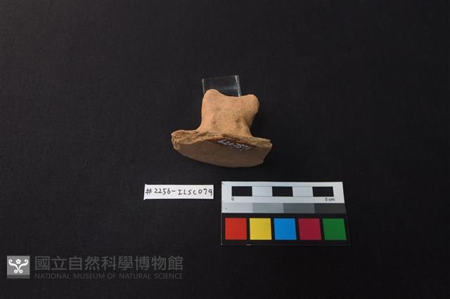 陶蓋藏品圖，第2張