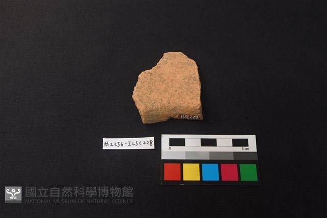 陶片藏品圖，第2張