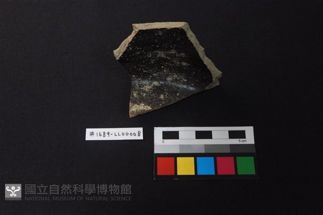 陶片藏品圖，第2張