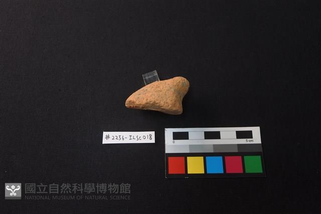 陶片藏品圖，第2張