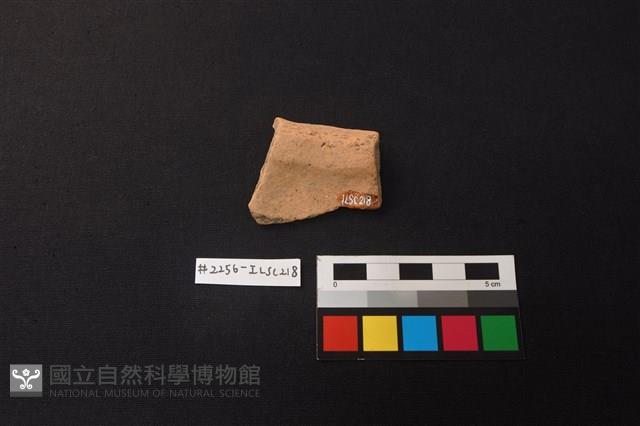 陶片藏品圖，第2張