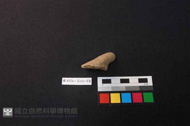 陶片藏品圖，第2張