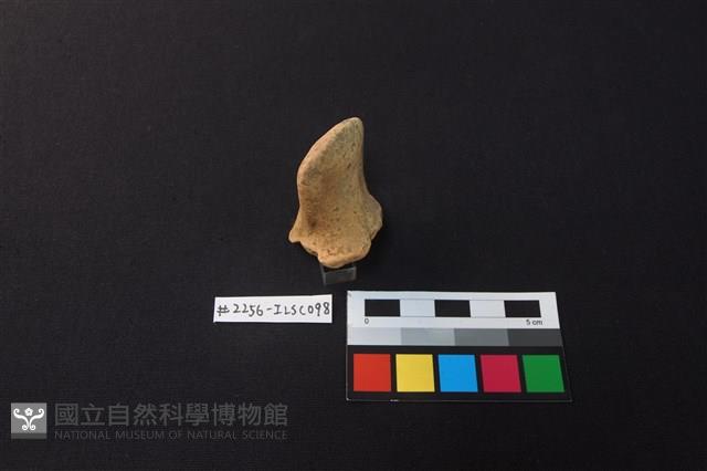 陶片藏品圖，第2張