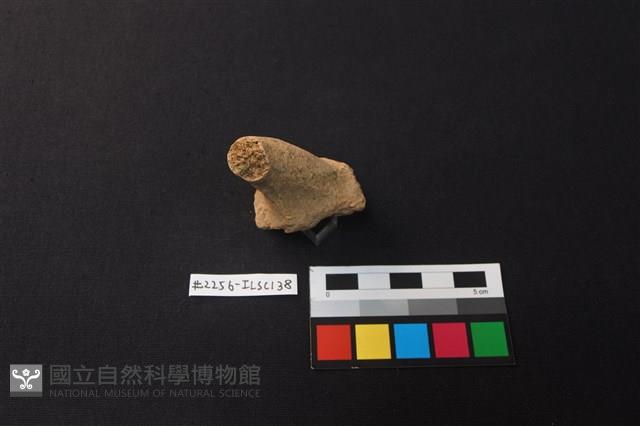 陶片藏品圖，第2張