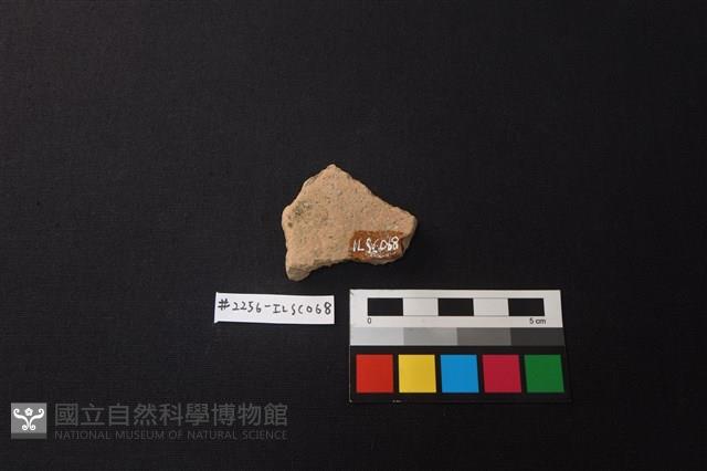 陶片藏品圖，第2張