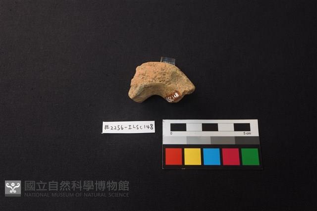 陶片藏品圖，第2張