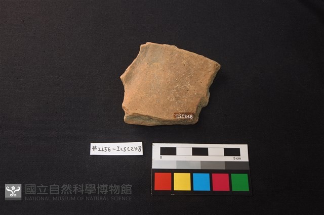 陶片藏品圖，第2張