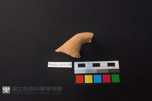 陶片藏品圖，第2張