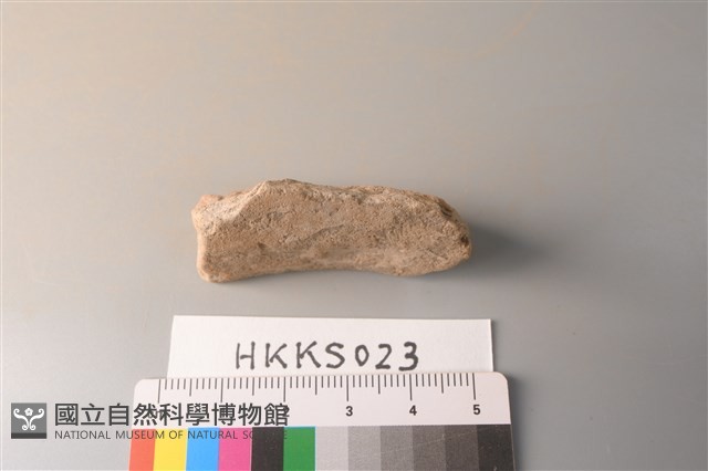 陶片藏品圖，第2張