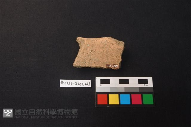 陶片藏品圖，第2張