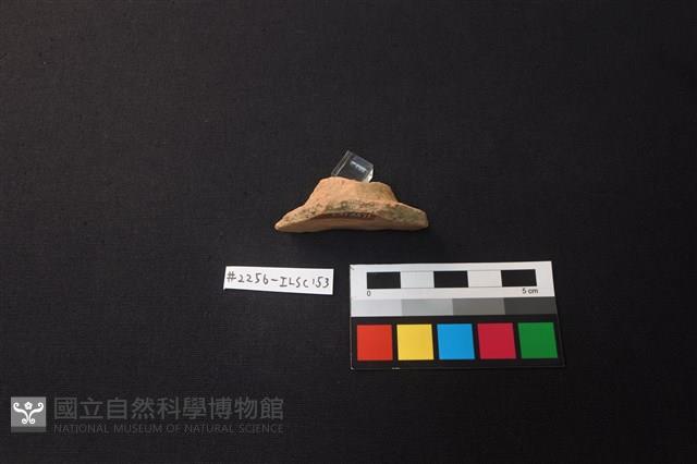 陶片藏品圖，第2張