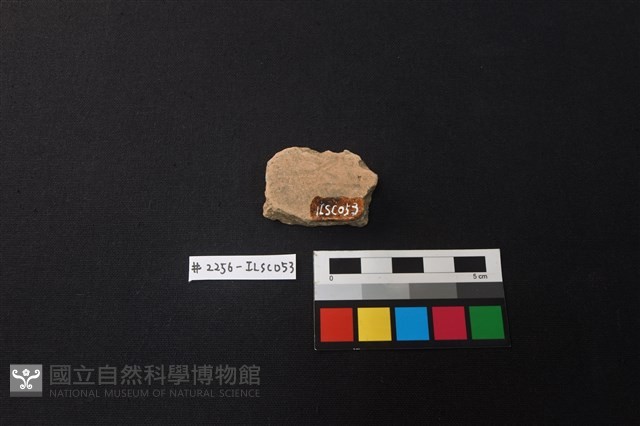 陶片藏品圖，第2張