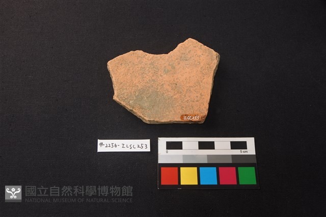 陶片藏品圖，第2張