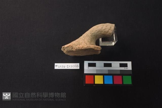 陶片藏品圖，第2張