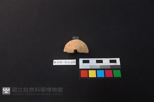 陶片藏品圖，第2張