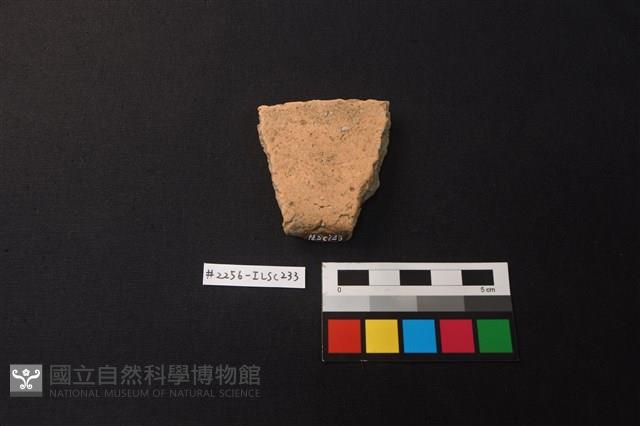 陶片藏品圖，第2張