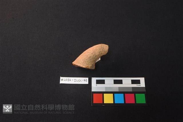 陶片藏品圖，第2張