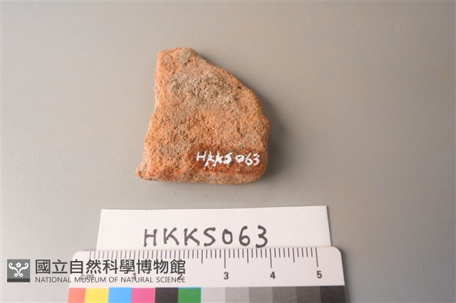 陶片藏品圖，第2張